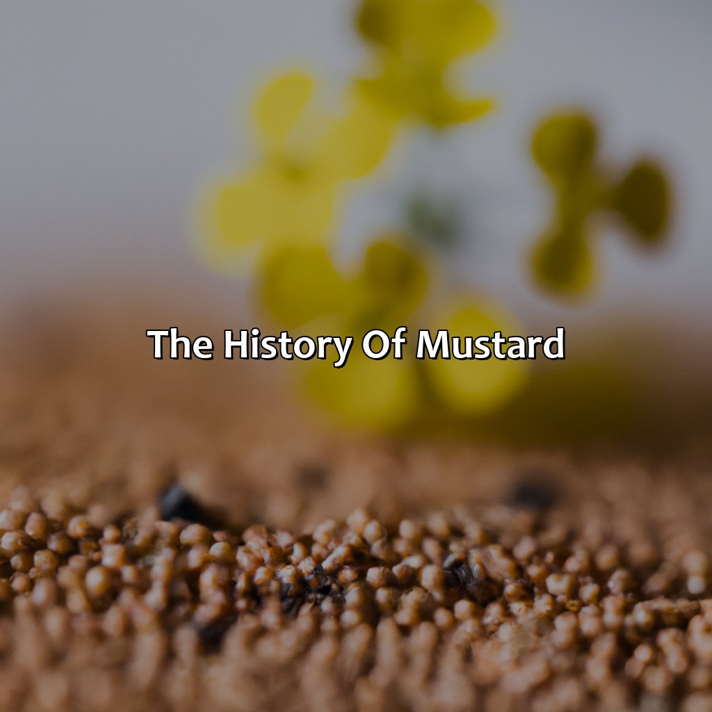 The History Of Mustard  - What Color Is Mustard, 