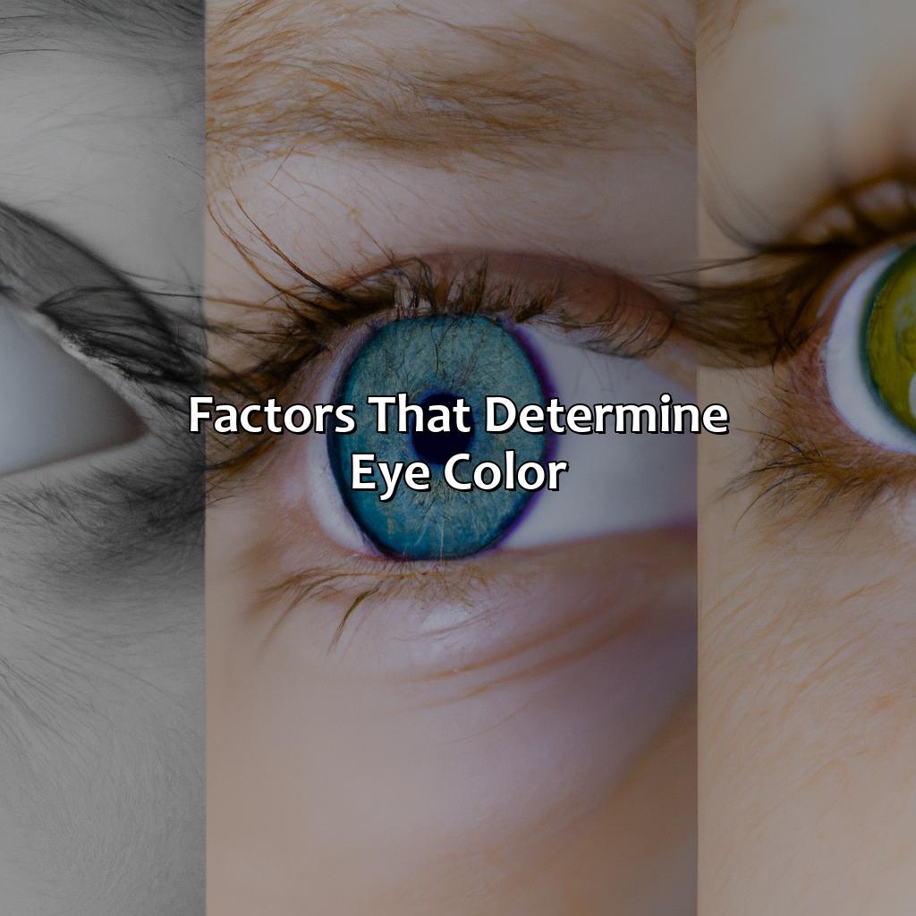 Factors That Determine Eye Color  - What Color Is My Eyes, 
