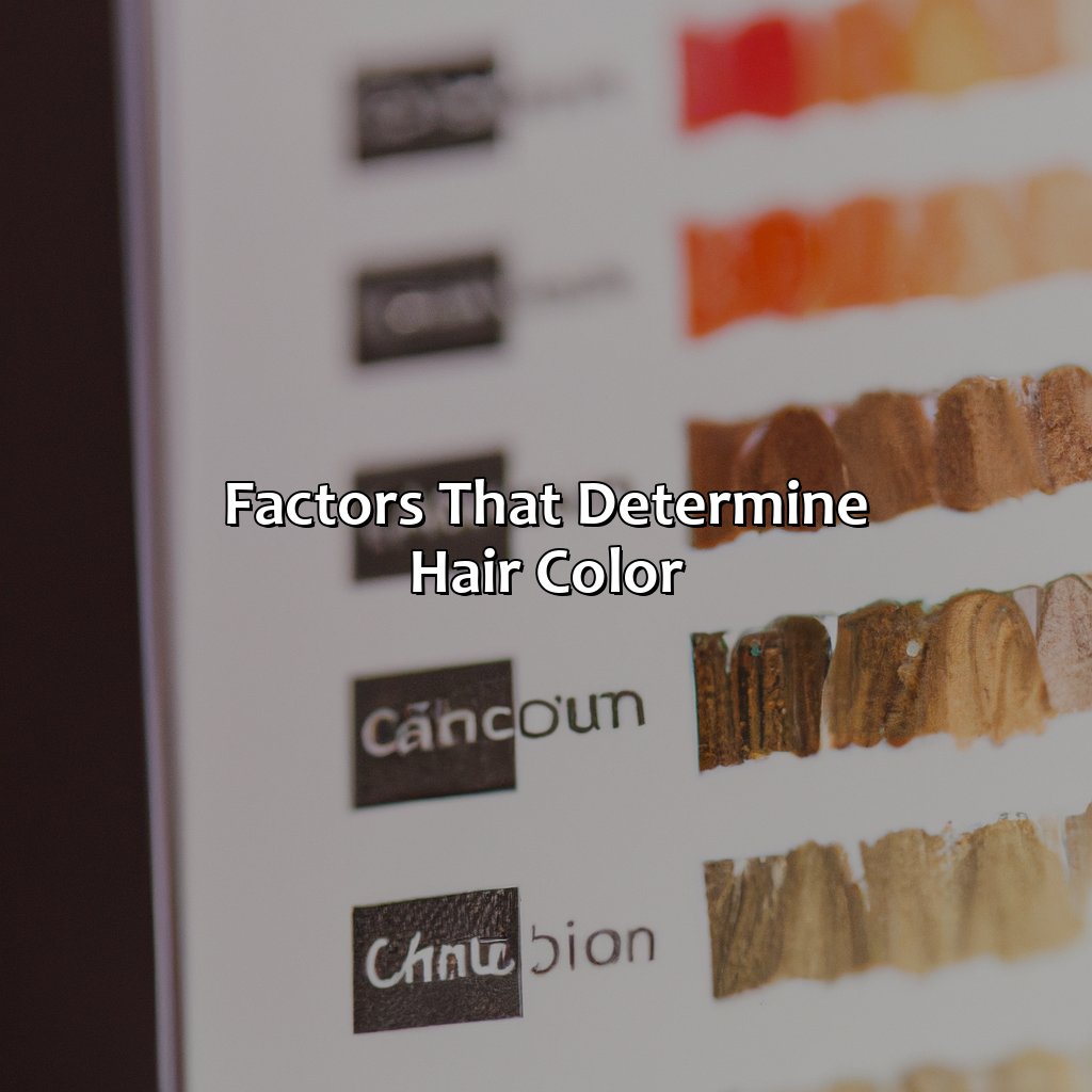 Factors That Determine Hair Color  - What Color Is My Hair, 