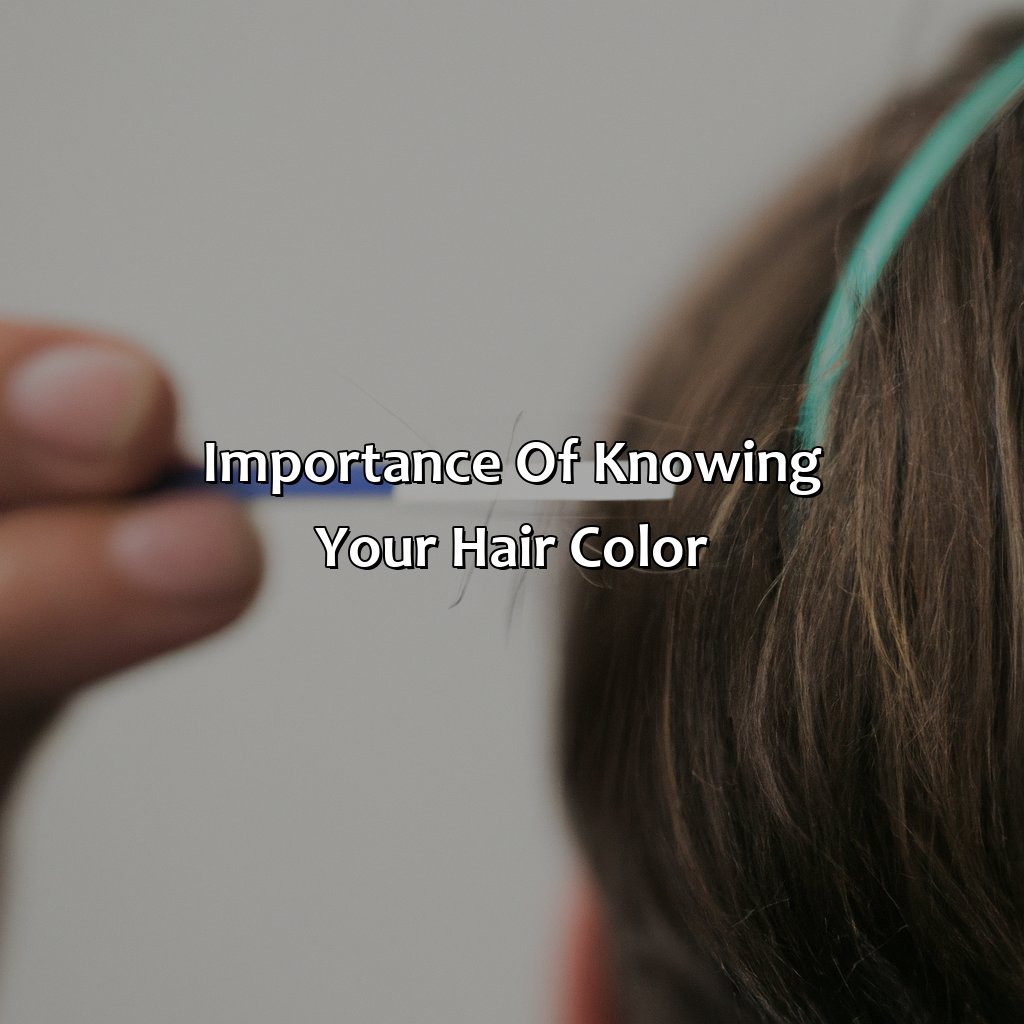 Importance Of Knowing Your Hair Color - What Color Is My Hair Quiz, 