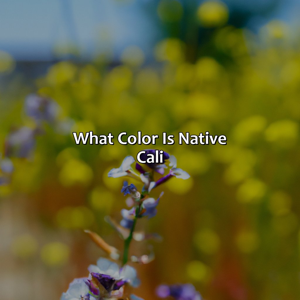 What Color Is Native Cali - colorscombo.com