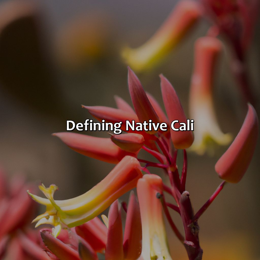 Defining Native Cali  - What Color Is Native Cali, 