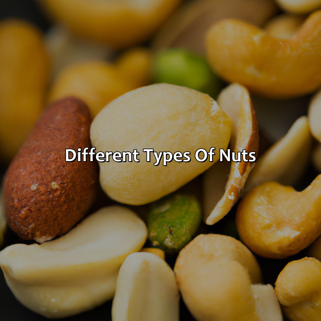 Different Types Of Nuts  - What Color Is Nut, 