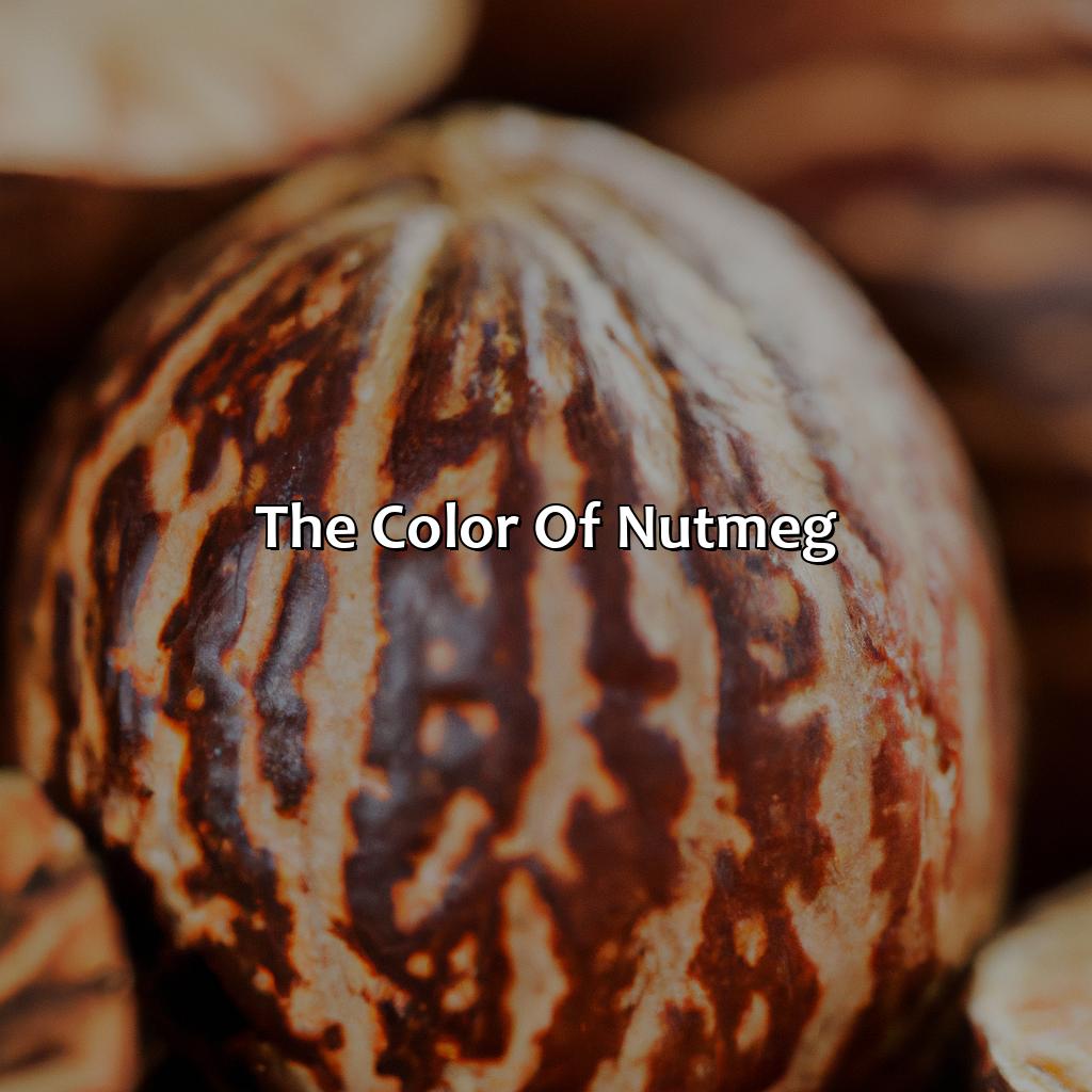 The Color Of Nutmeg  - What Color Is Nutmeg, 