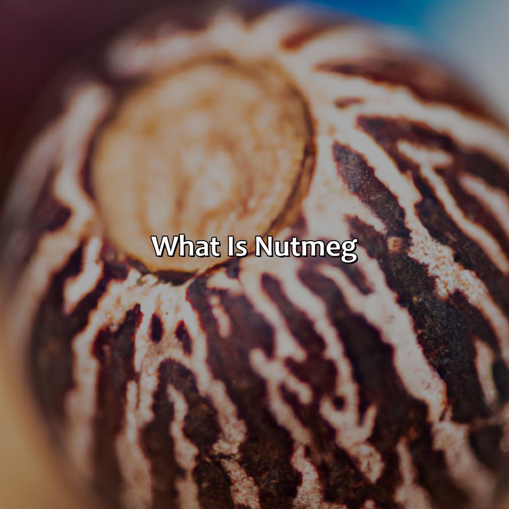 What Is Nutmeg?  - What Color Is Nutmeg, 