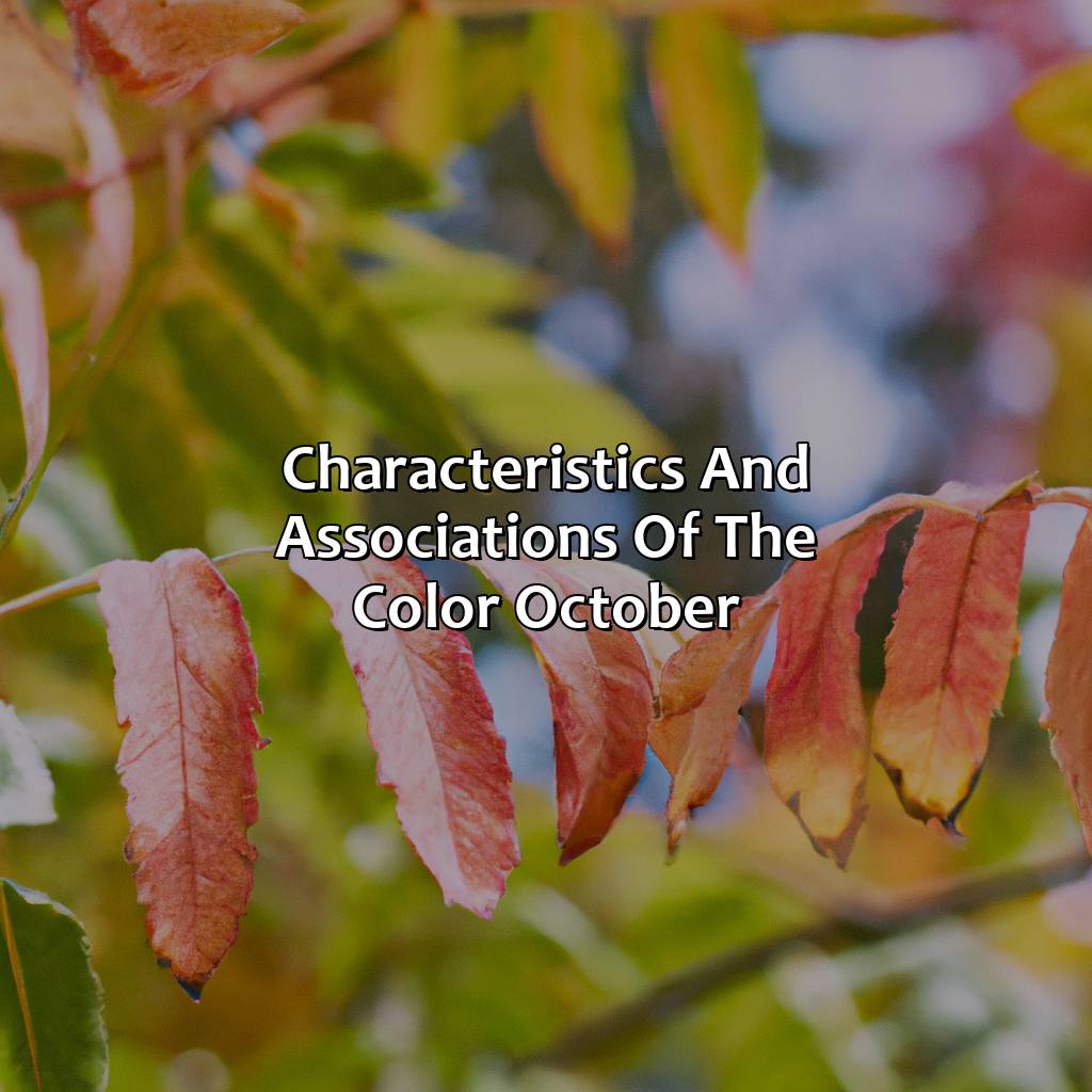 Characteristics And Associations Of The Color October  - What Color Is October, 