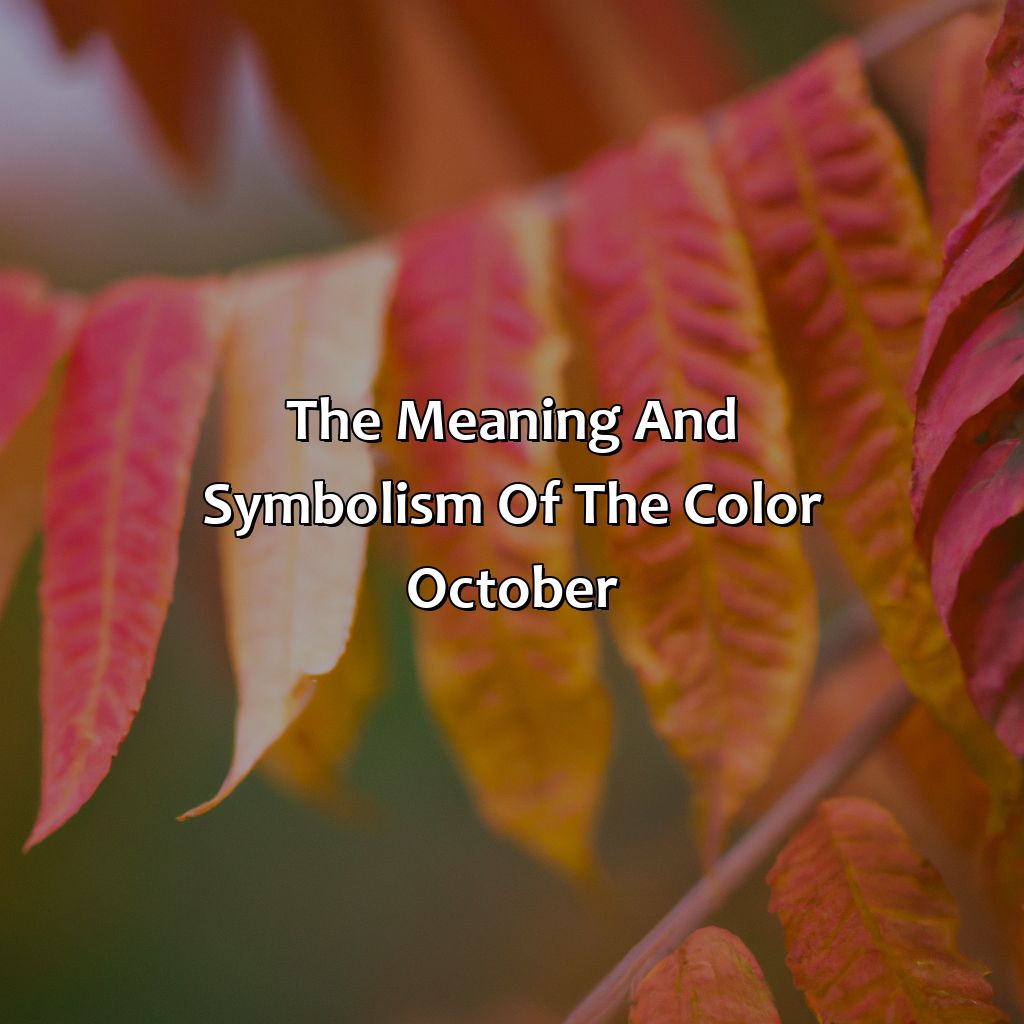 The Meaning And Symbolism Of The Color October  - What Color Is October, 
