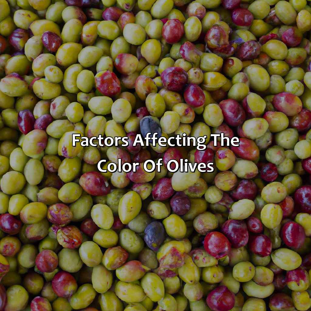 Factors Affecting The Color Of Olives  - What Color Is Olive, 