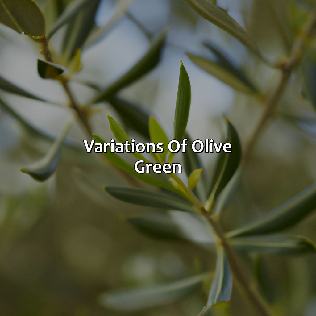 Variations Of Olive Green  - What Color Is Olive Green, 