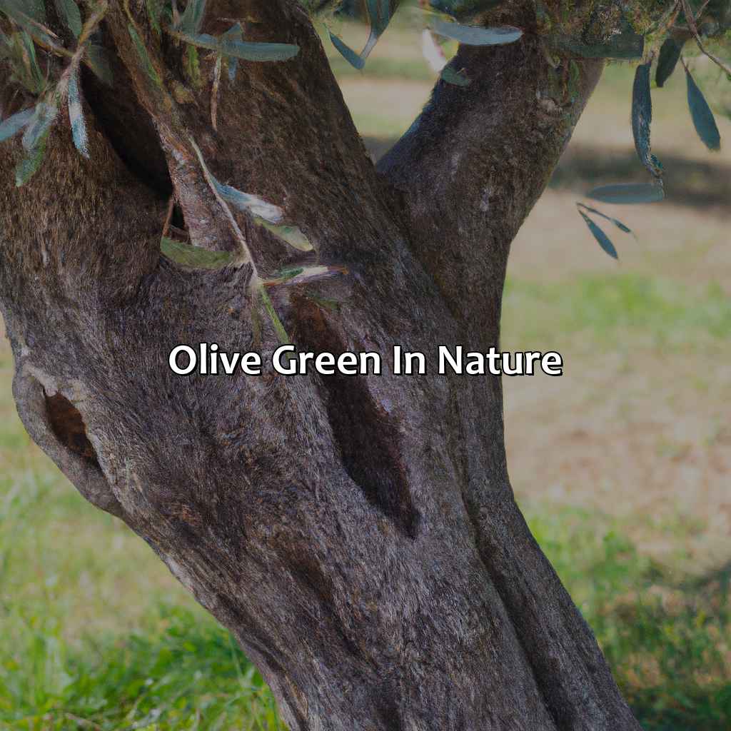 Olive Green In Nature  - What Color Is Olive Green, 
