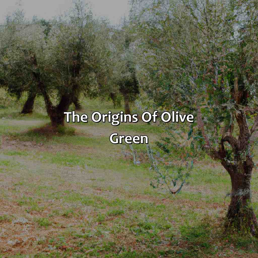 The Origins Of Olive Green  - What Color Is Olive Green, 