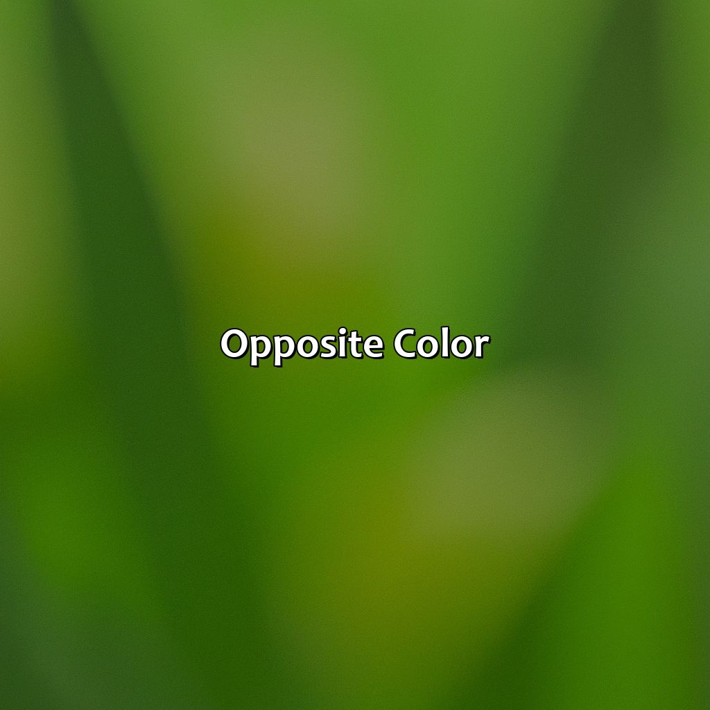 Opposite Color   - What Color Is Opposite Of Green, 