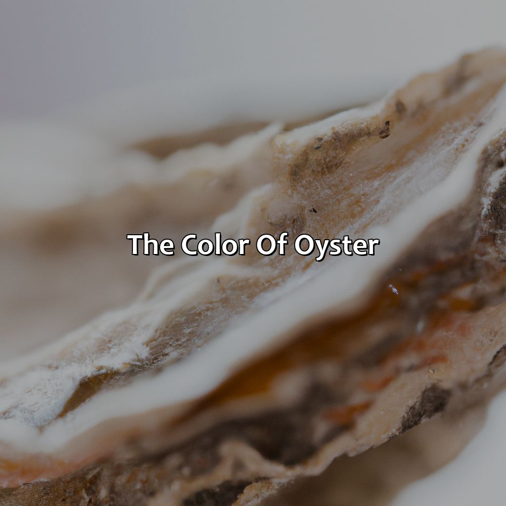 The Color Of Oyster  - What Color Is Oyster, 