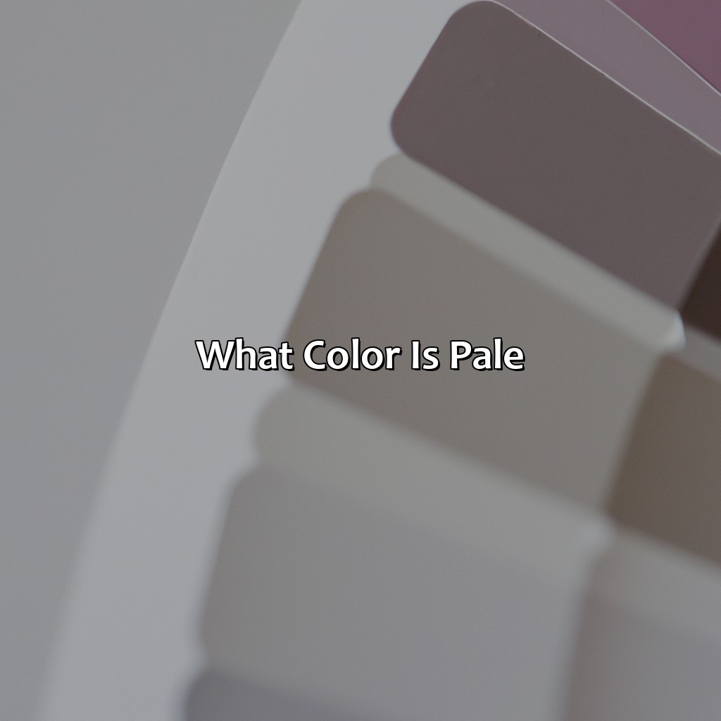 What Color Is Pale - colorscombo.com