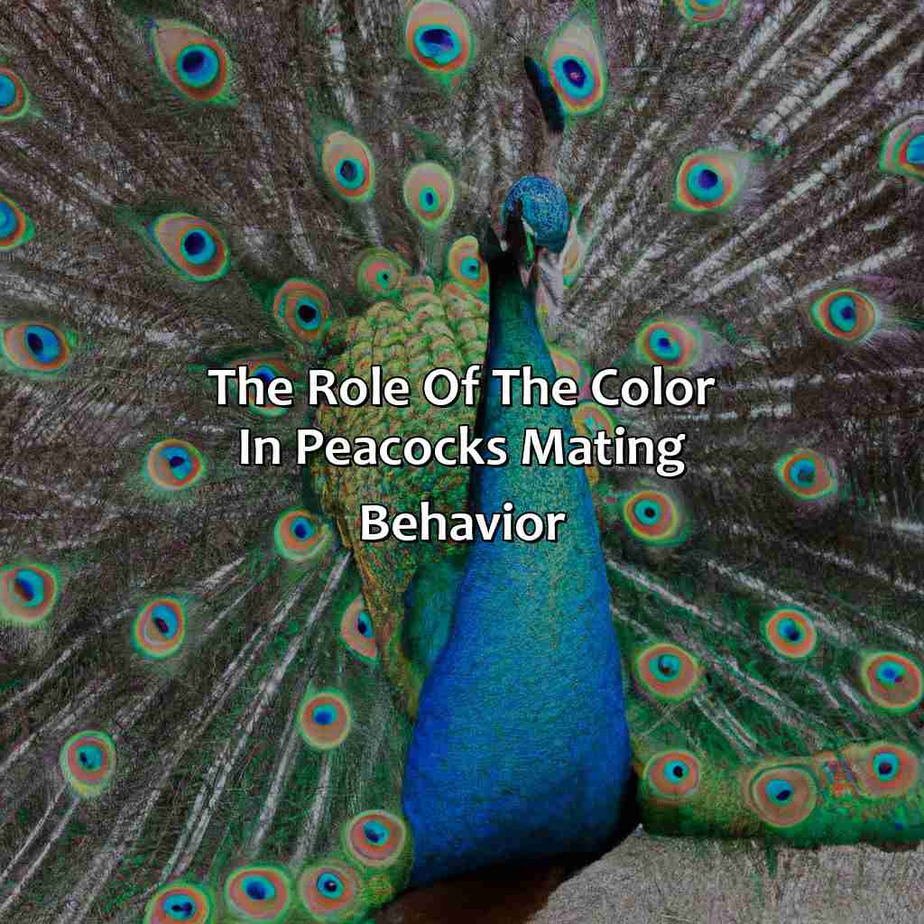 The Role Of The Color In Peacock