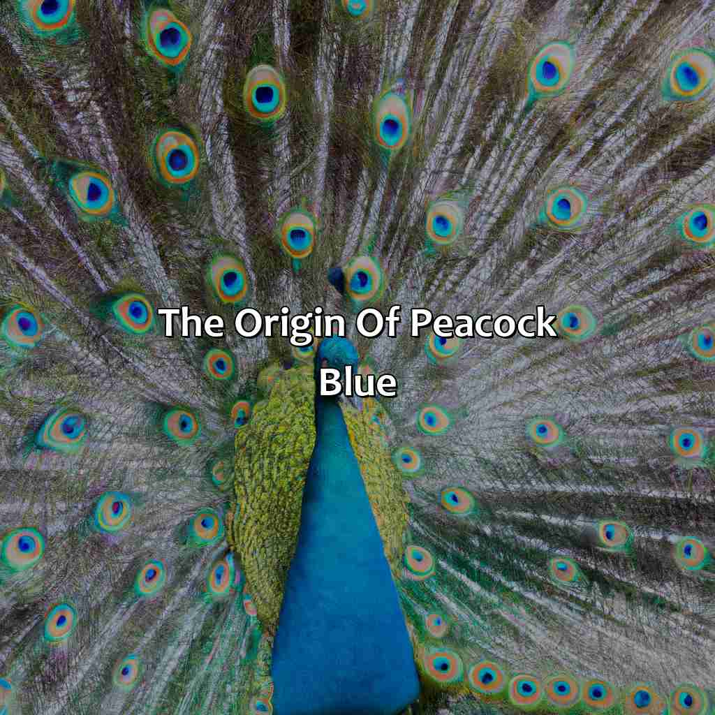 The Origin Of Peacock Blue  - What Color Is Peacock Blue, 