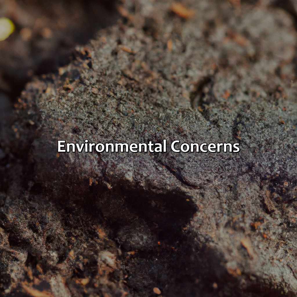 Environmental Concerns  - What Color Is Peat, 