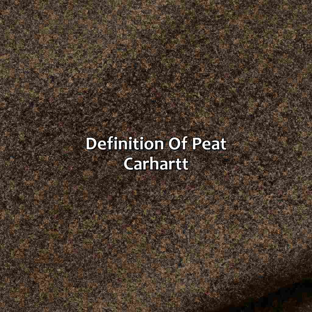 Definition Of Peat Carhartt  - What Color Is Peat Carhartt, 