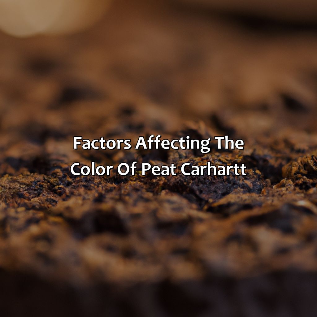Factors Affecting The Color Of Peat Carhartt  - What Color Is Peat Carhartt, 