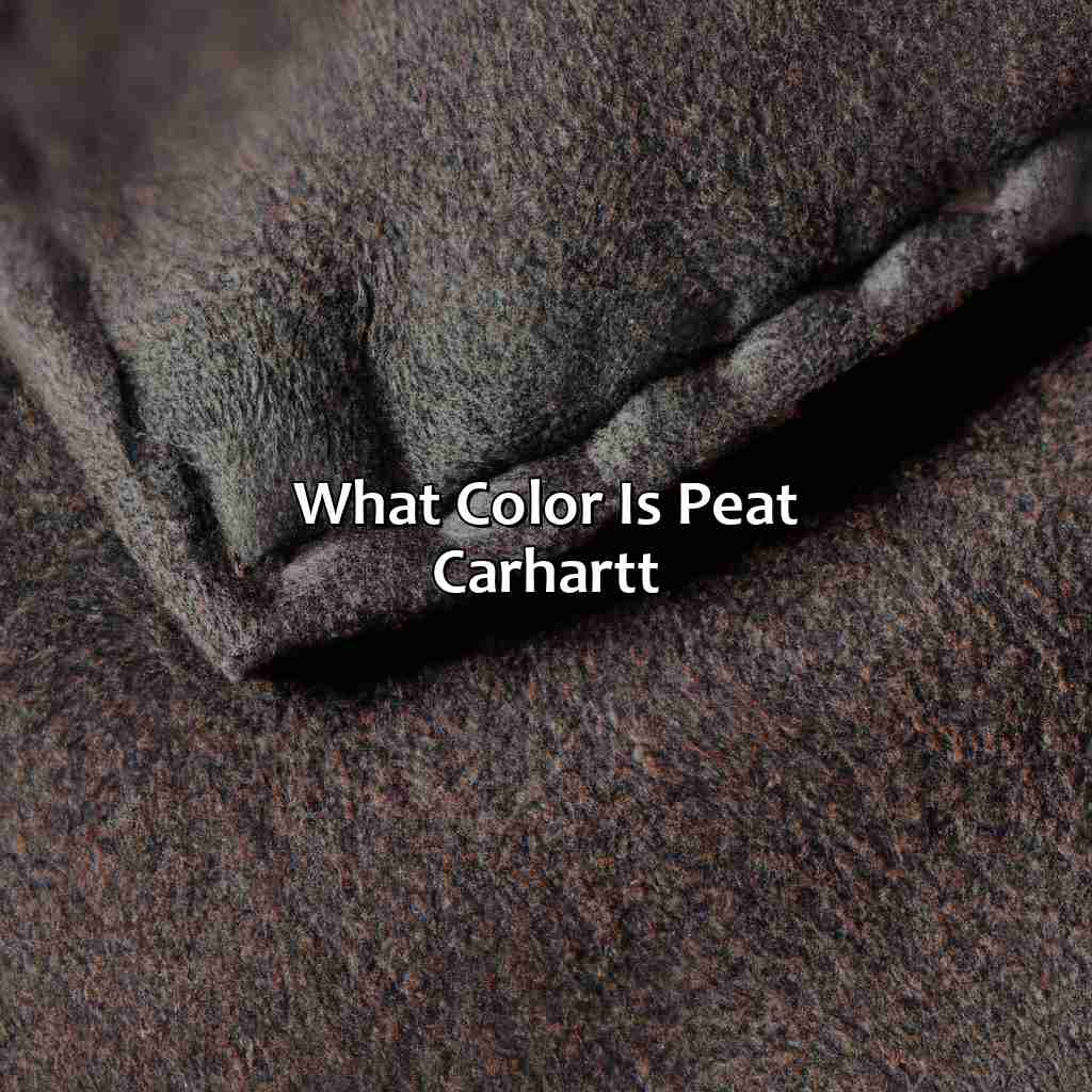 What Color Is Peat Carhartt - colorscombo.com