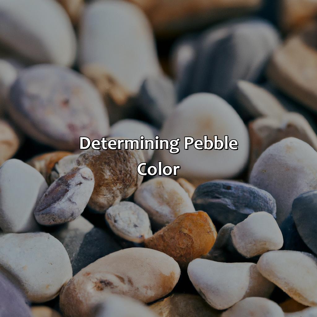 Determining Pebble Color  - What Color Is Pebble, 