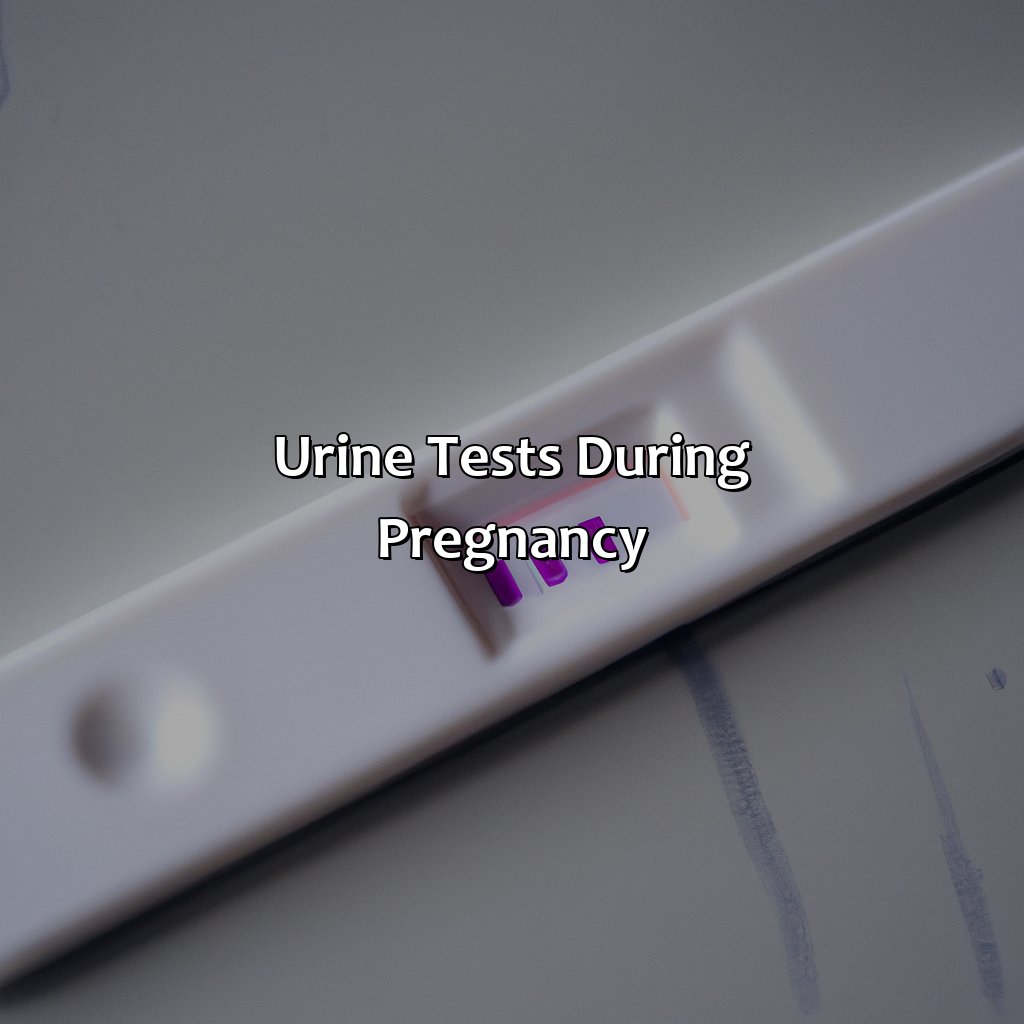 Urine Tests During Pregnancy  - What Color Is Pee When Pregnant, 