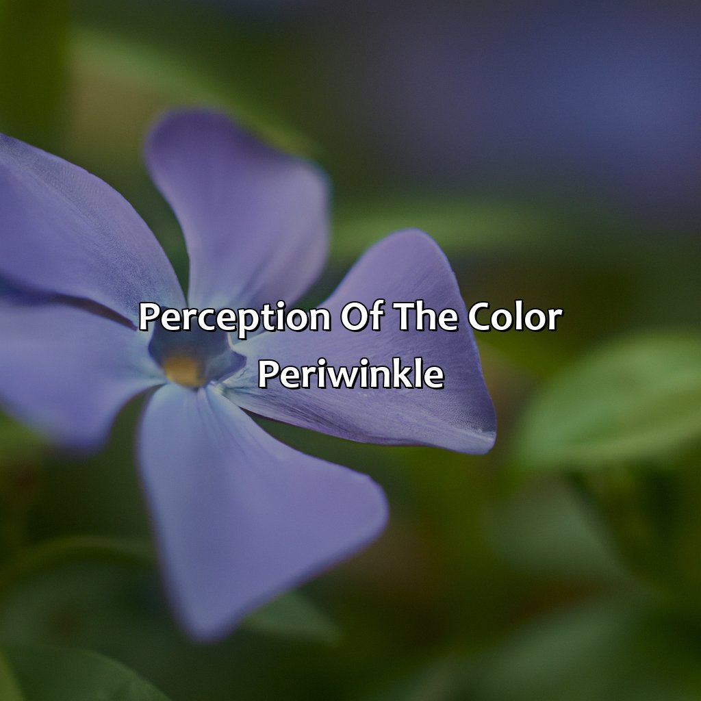 Perception Of The Color Periwinkle  - What Color Is Periwinkle, 