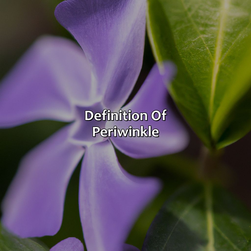Definition Of Periwinkle  - What Color Is Periwinkle, 