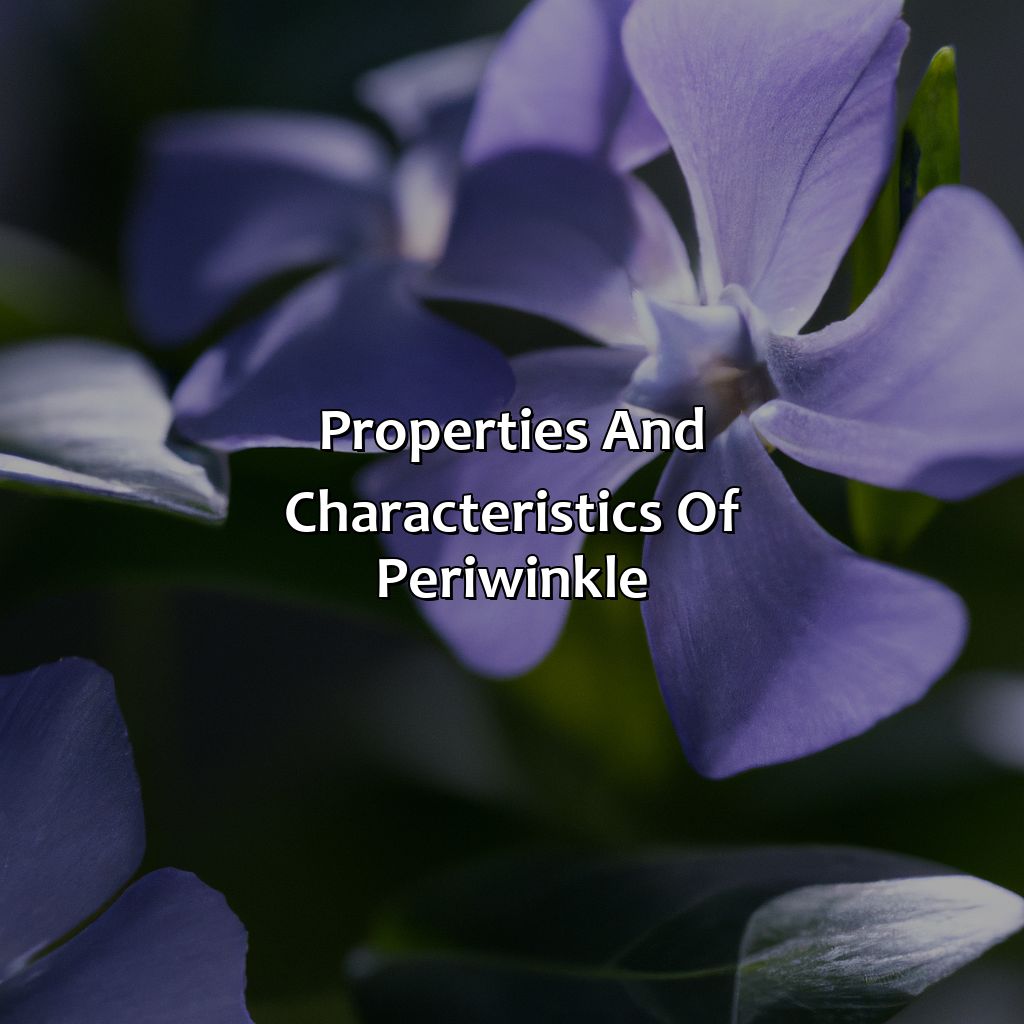 Properties And Characteristics Of Periwinkle  - What Color Is Periwinkle, 