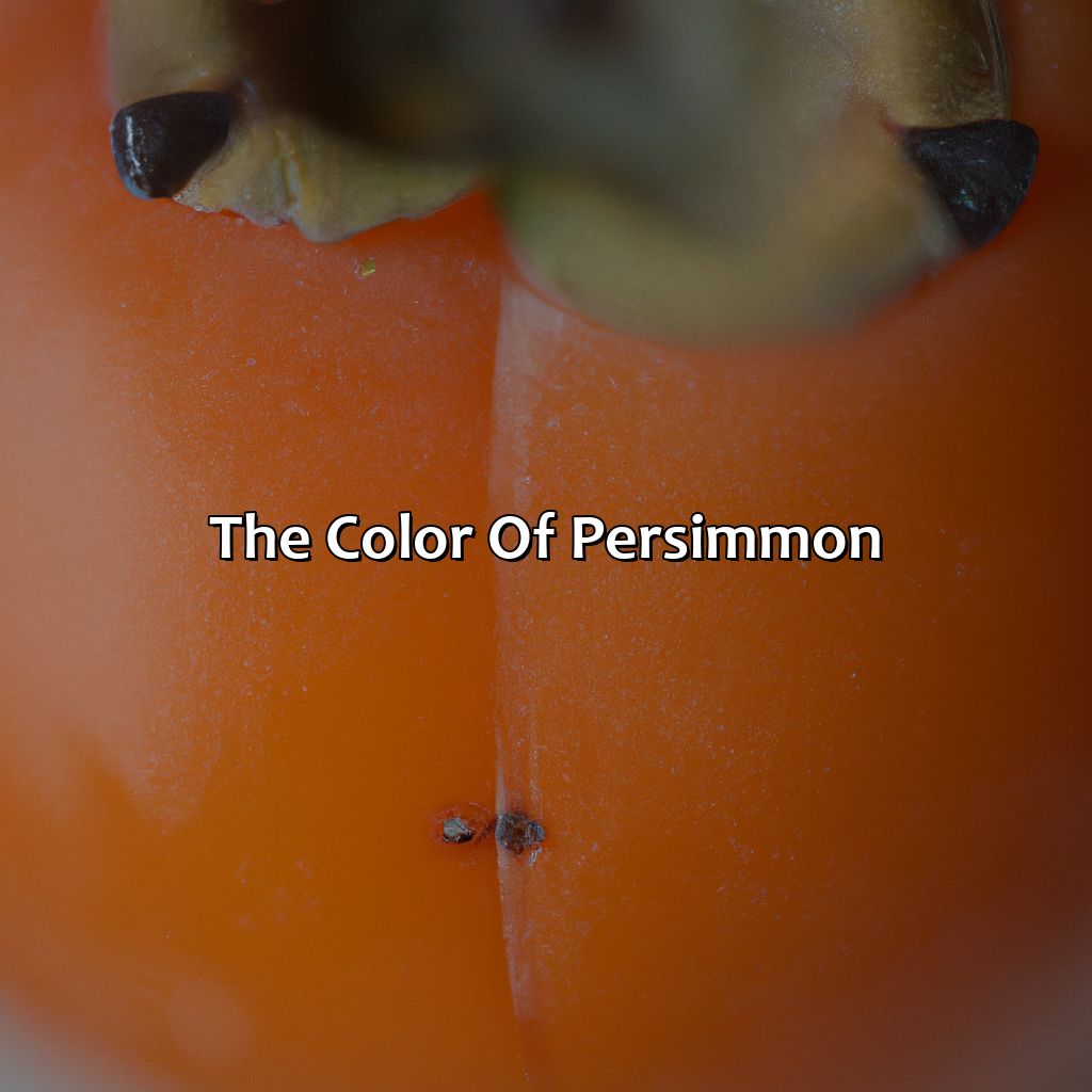 The Color Of Persimmon  - What Color Is Persimmon, 
