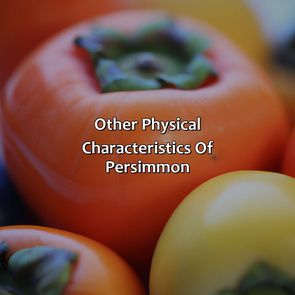 Other Physical Characteristics Of Persimmon  - What Color Is Persimmon, 