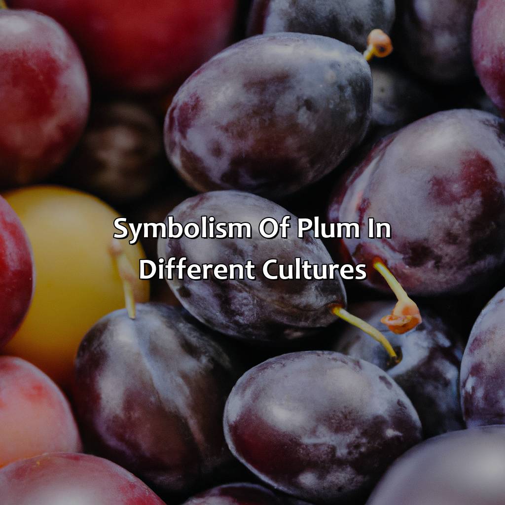 Symbolism Of Plum In Different Cultures  - What Color Is Plum, 