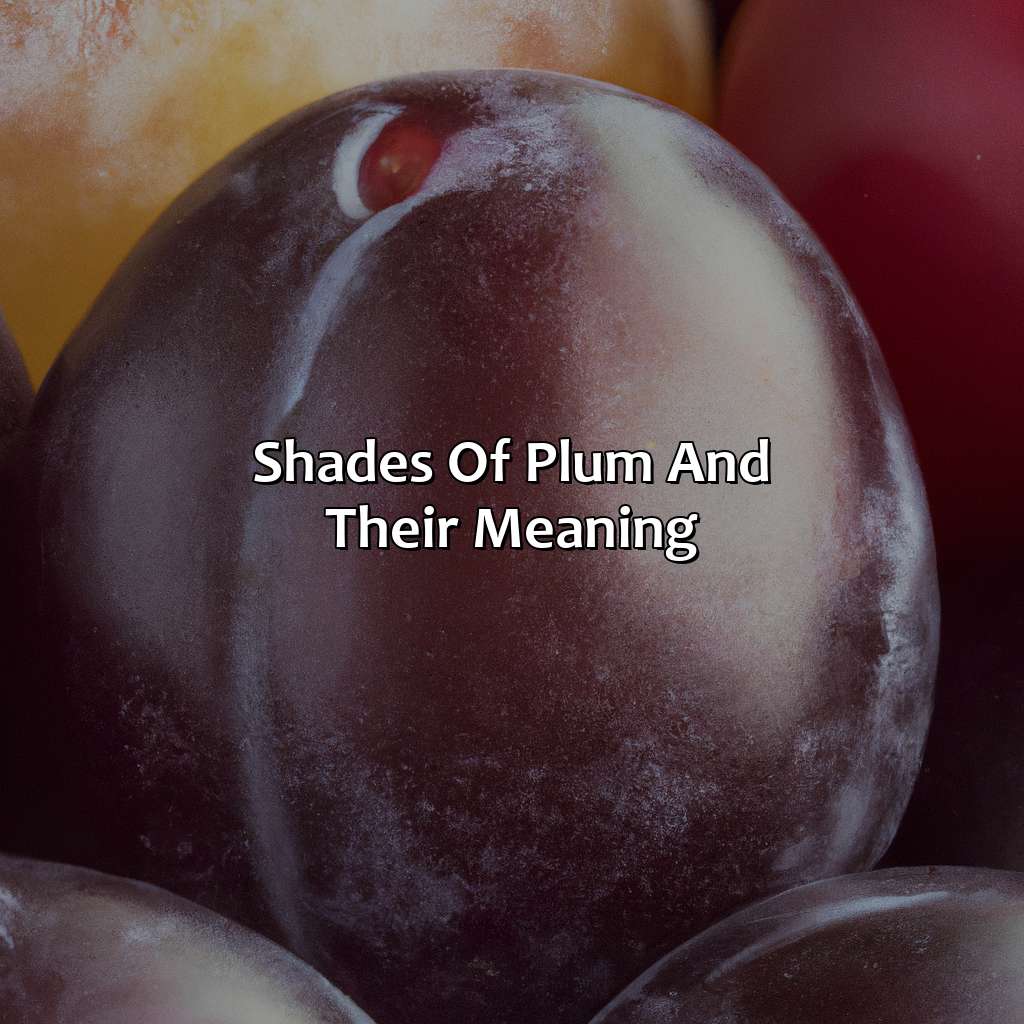 Shades Of Plum And Their Meaning  - What Color Is Plum, 