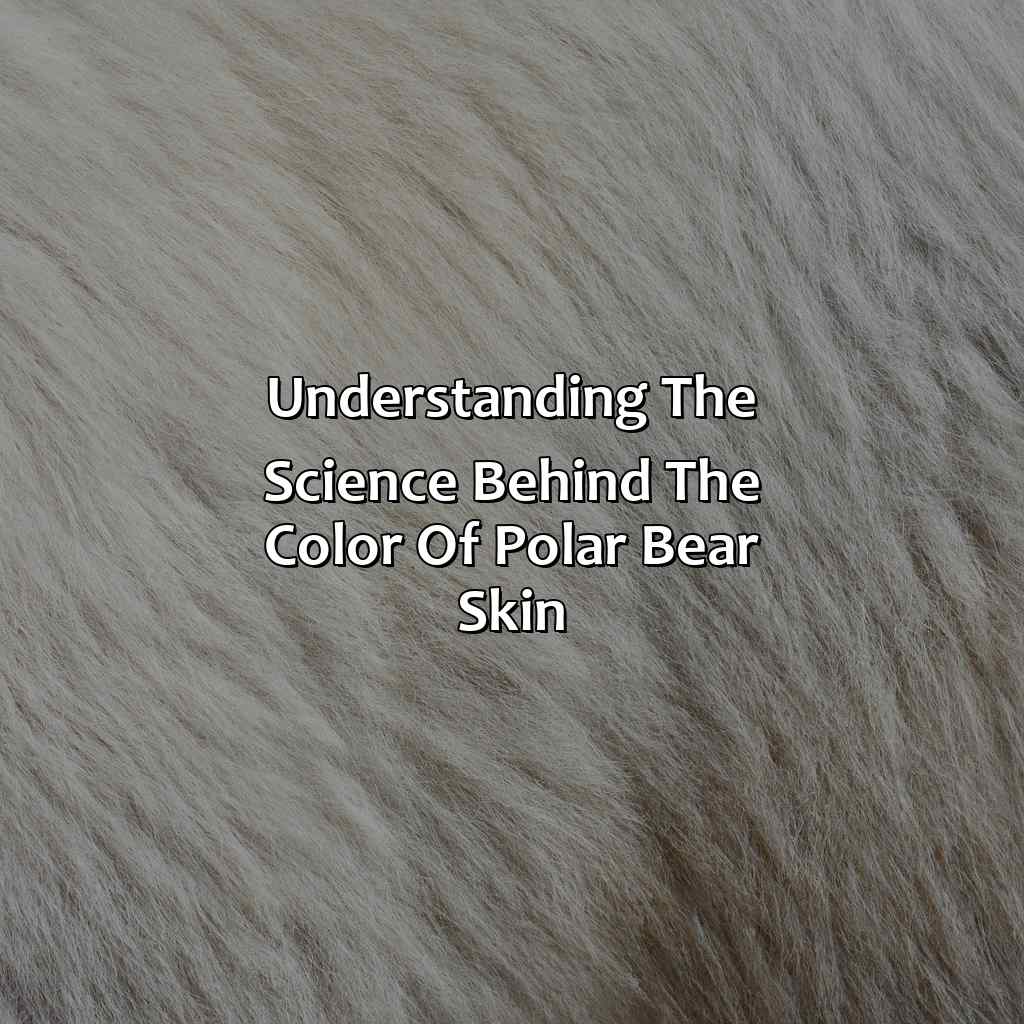 Understanding The Science Behind The Color Of Polar Bear Skin  - What Color Is Polar Bear Skin, 
