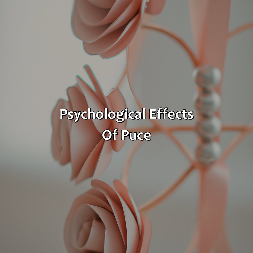 Psychological Effects Of Puce  - What Color Is Puce, 