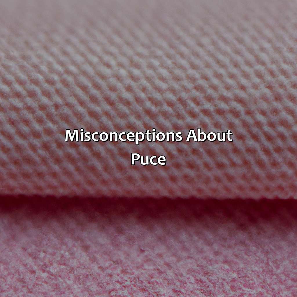 Misconceptions About Puce - What Color Is Puce, 