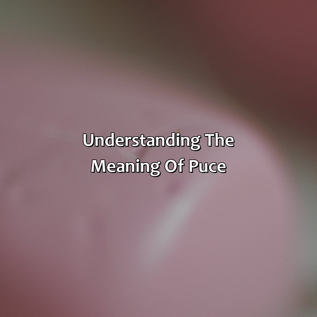 Understanding The Meaning Of Puce  - What Color Is Puce, 