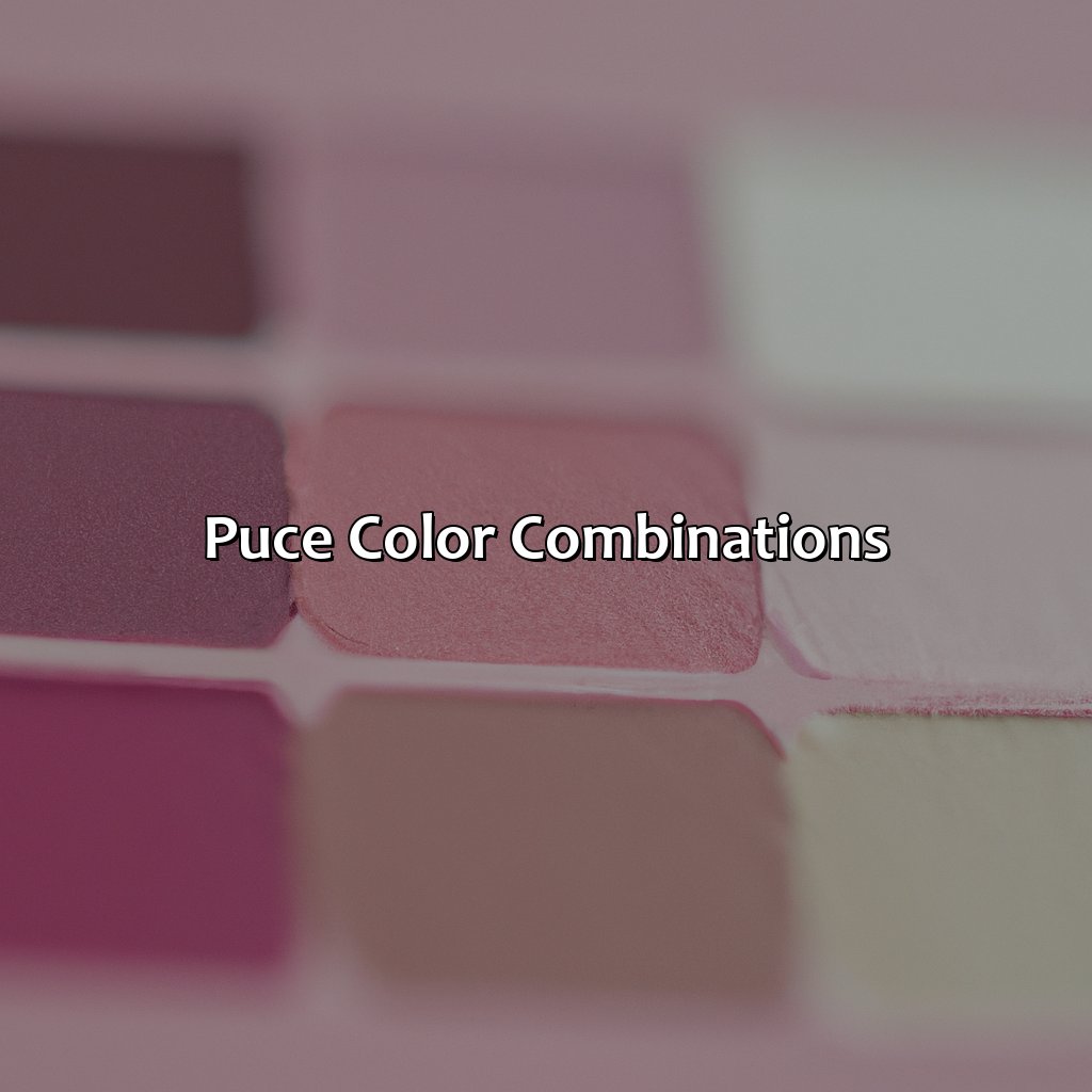 Puce Color Combinations  - What Color Is Puce, 