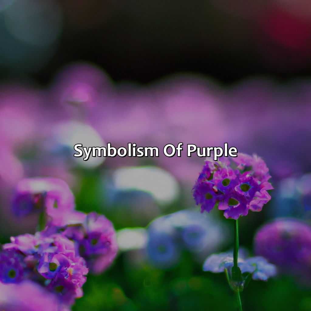 Symbolism Of Purple  - What Color Is Purple, 