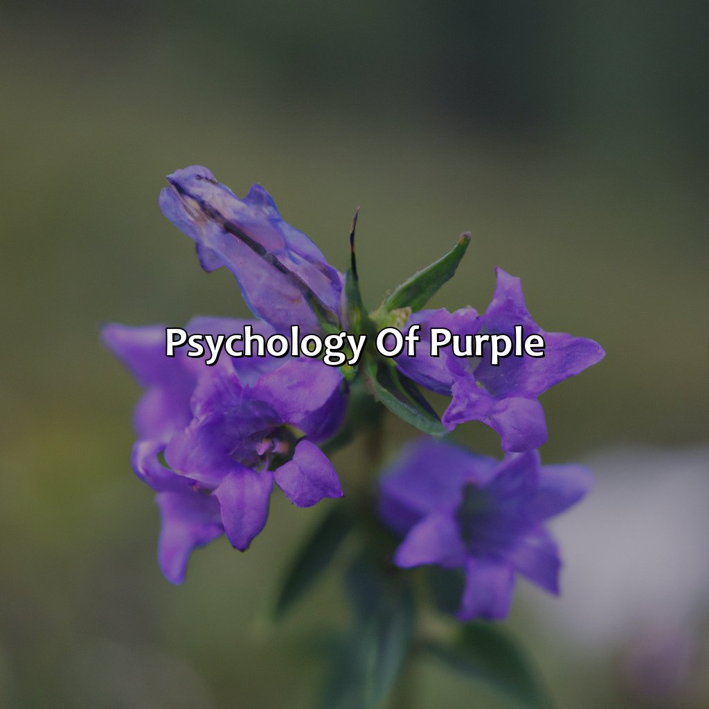 Psychology Of Purple  - What Color Is Purple, 