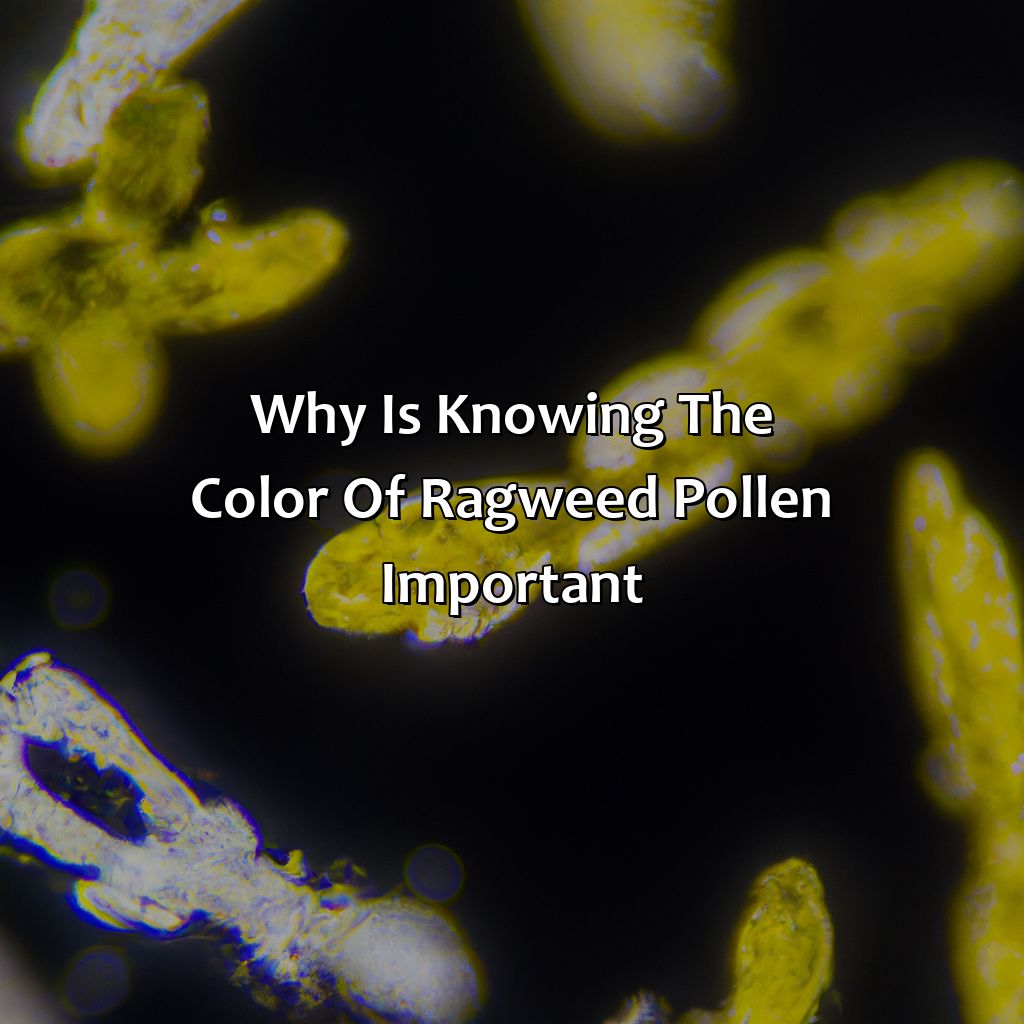 Why Is Knowing The Color Of Ragweed Pollen Important  - What Color Is Ragweed Pollen, 