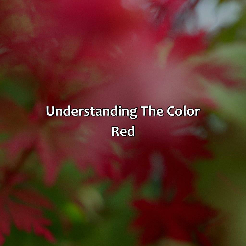 Understanding The Color Red  - What Color Is Red And Green, 