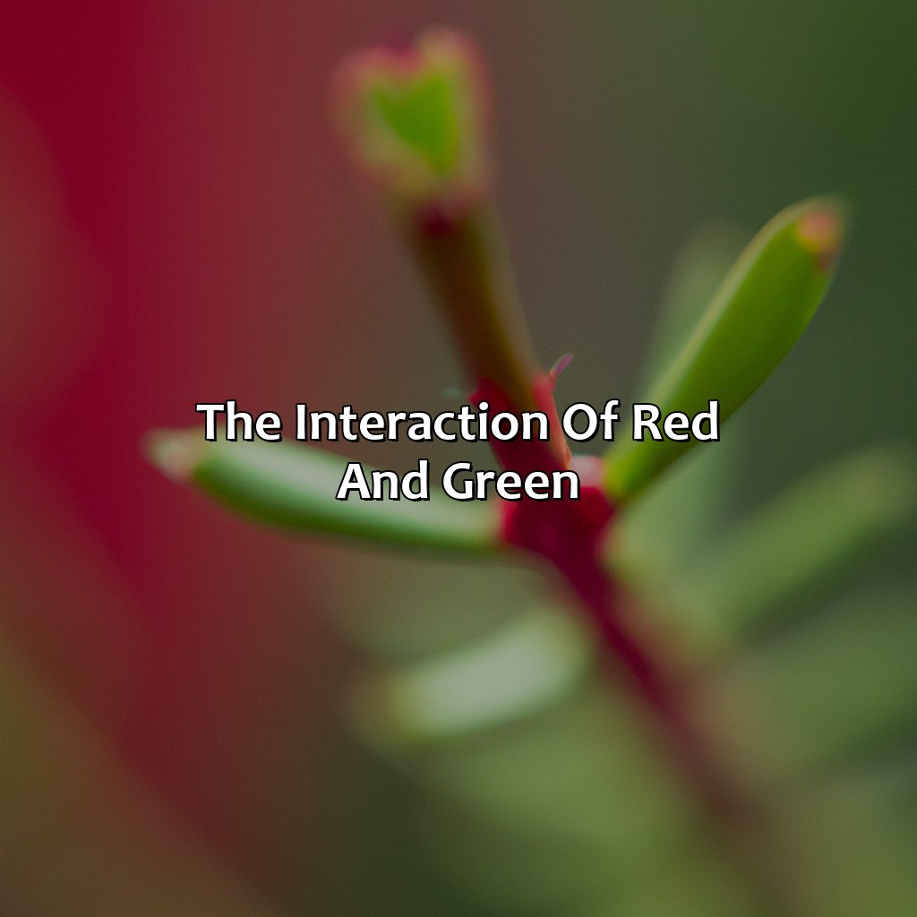 The Interaction Of Red And Green  - What Color Is Red And Green, 