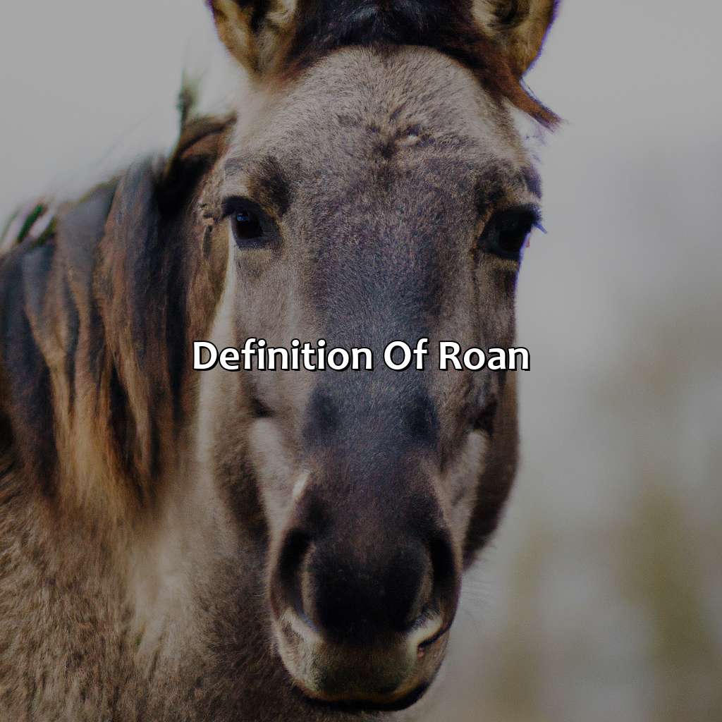 Definition Of Roan  - What Color Is Roan, 