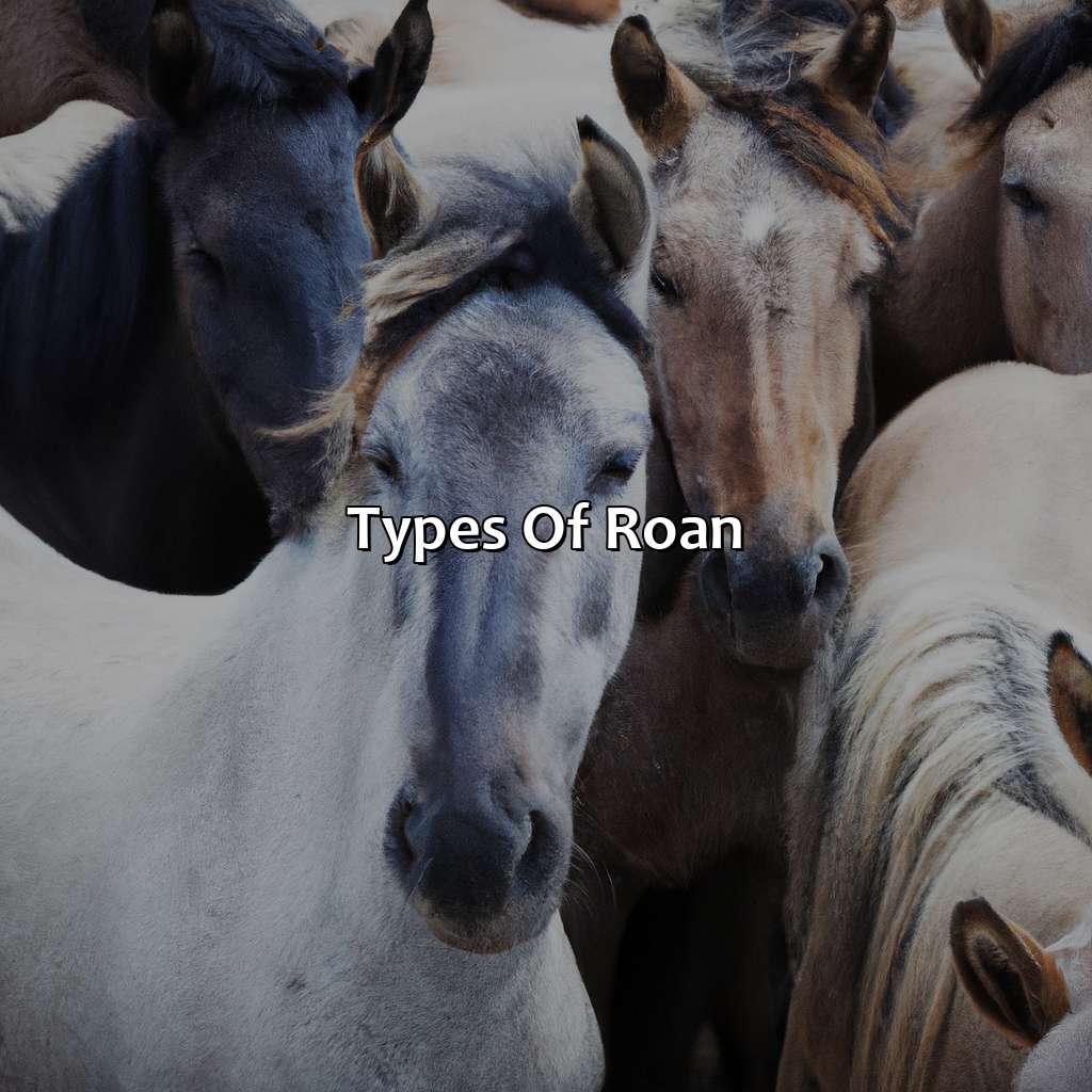 Types Of Roan  - What Color Is Roan, 