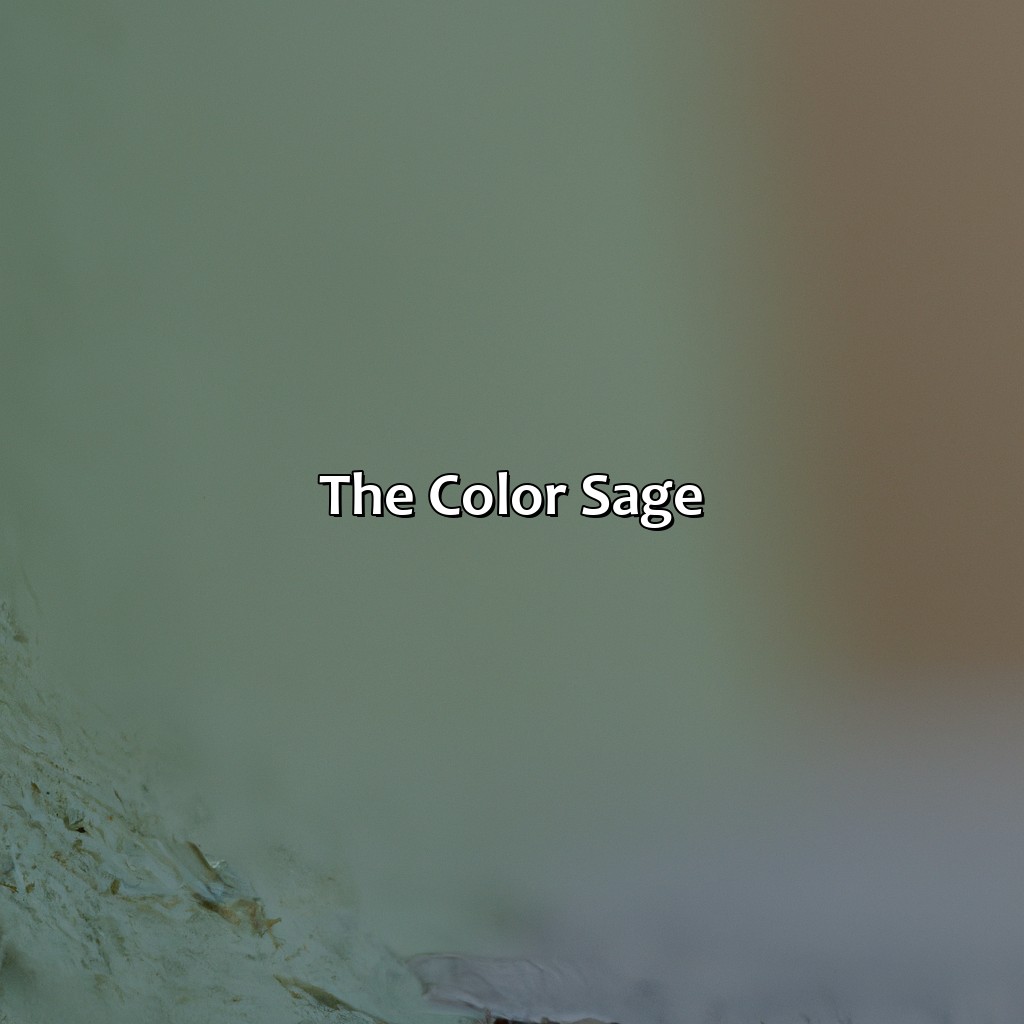 The Color Sage - What Color Is Sage, 