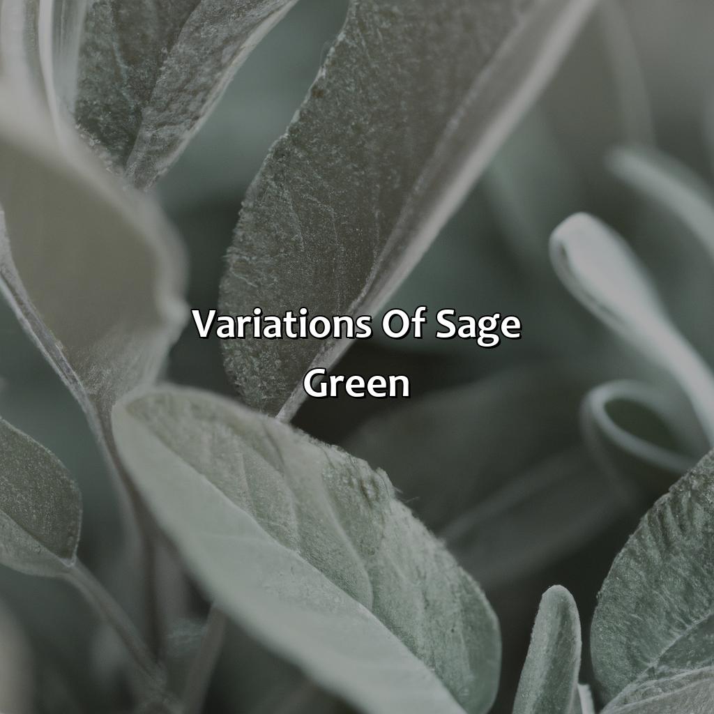 Variations Of Sage Green  - What Color Is Sage Green, 