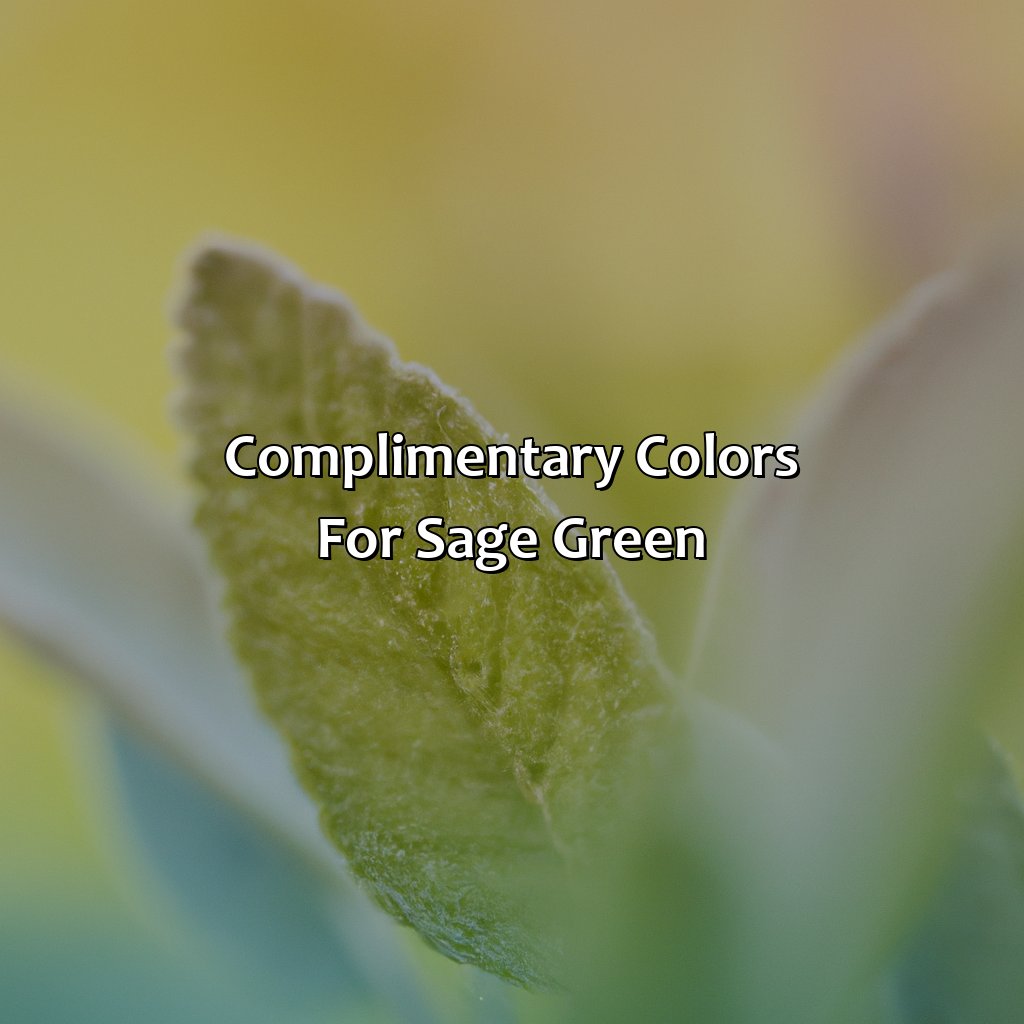 Complimentary Colors For Sage Green  - What Color Is Sage Green, 