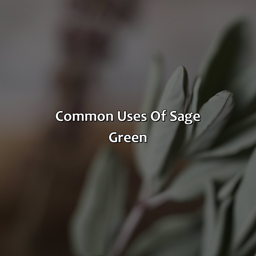 Common Uses Of Sage Green  - What Color Is Sage Green, 