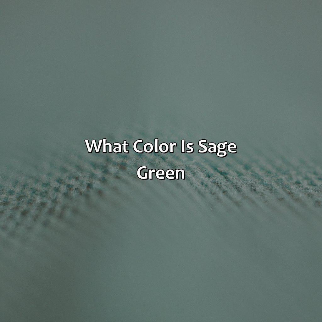 What Color Is Sage Green - colorscombo.com